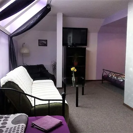 Nocleh Na Jihu Alloggio in famiglia Veselí nad Moravou